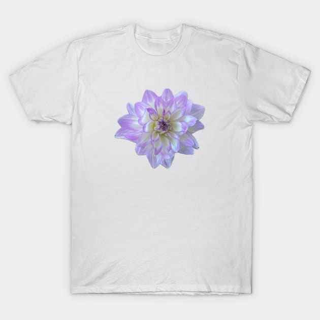 Lilac and white Dahlia flower T-Shirt by ImagineItAllArt